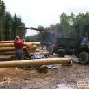 Hoisting logs.